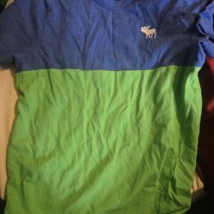 Blue and Green Abercrombie Kids Tshirt